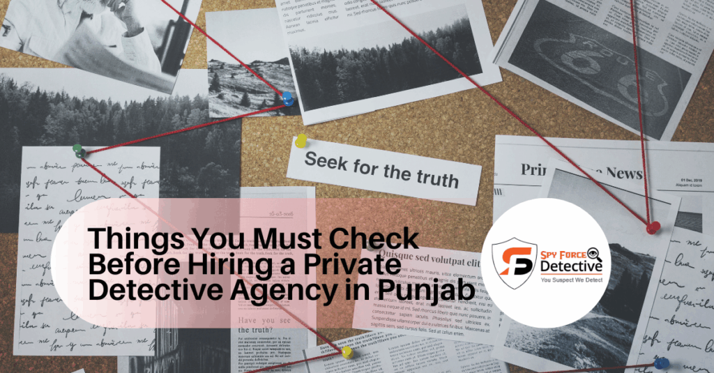 Things You Must Check Before Hiring a Private Detective Agency in Punjab